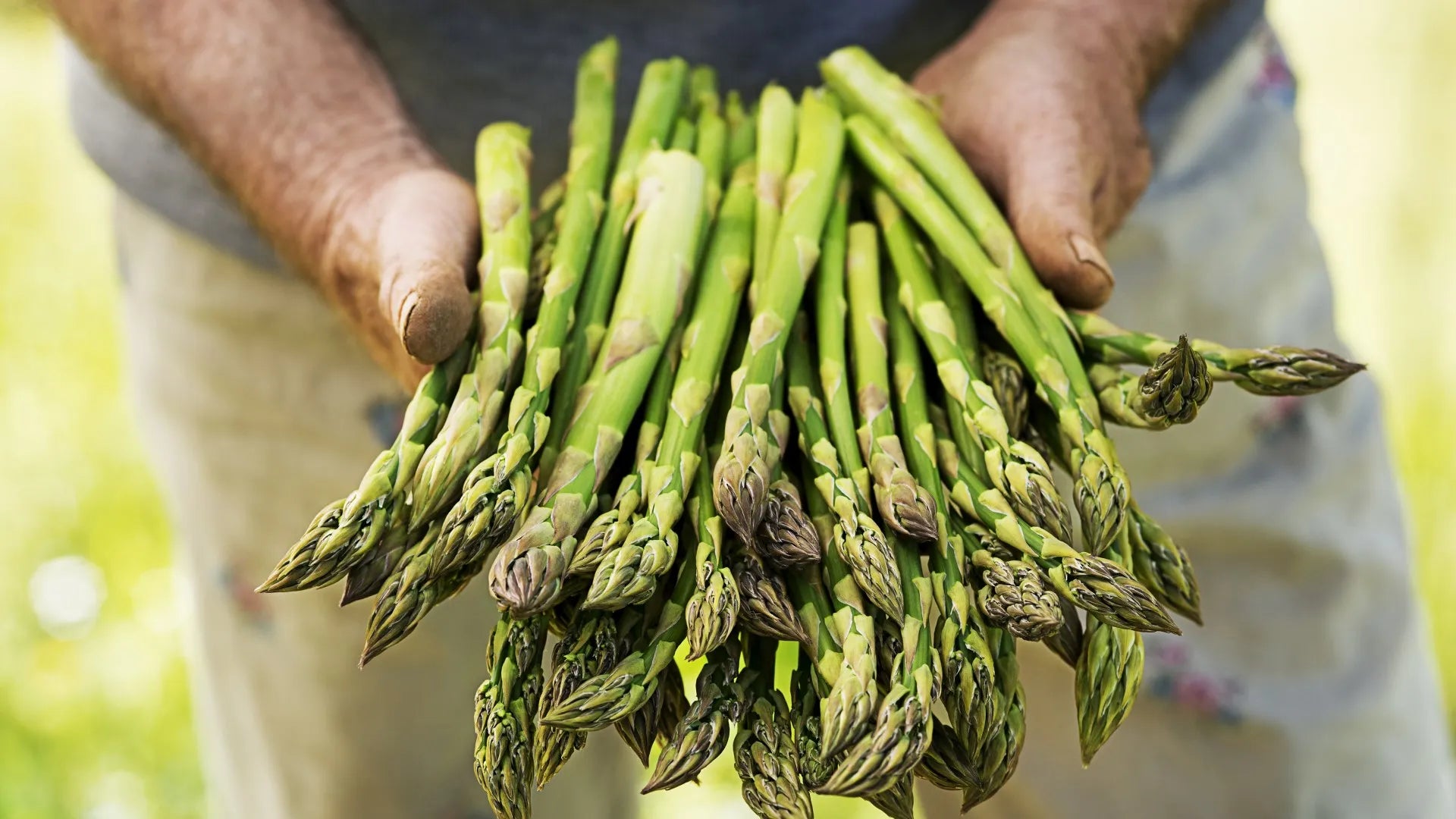 ホテルパークヒルズオンラインストア